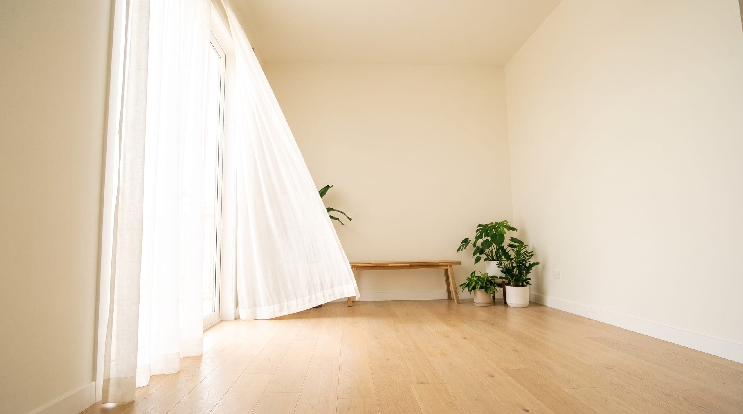 A sunlit room with a sheer white curtain lifting at a tall window.